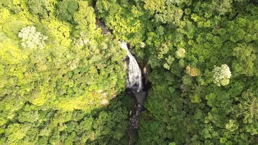 Fazenda/Sítio à venda, 91000m² no , Urubici