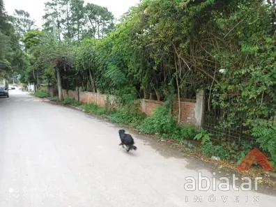Fazenda/Sítio com 2 Quartos à venda, 2000m² no Jardim de Lourdes, Embu das Artes