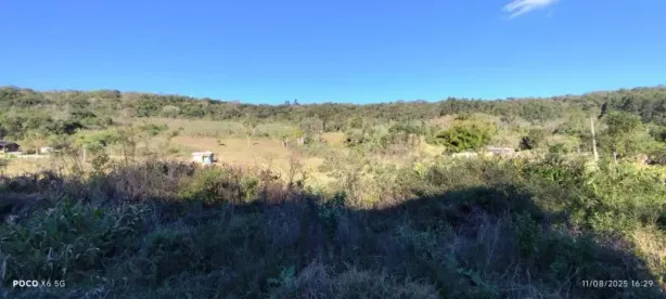 Fazenda/Sítio à venda, 10000m² no Gloria, ROLANTE