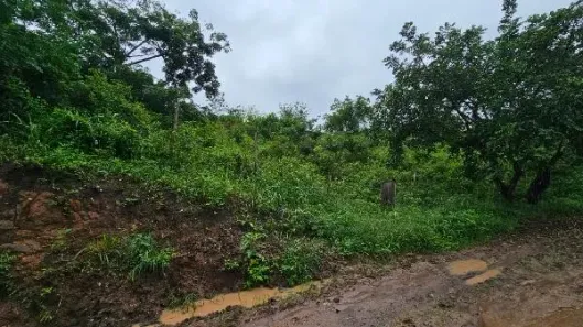 Lote/Terreno à venda, 1150m² no LOT RECANTO CARPINA, Lagoa do Carro