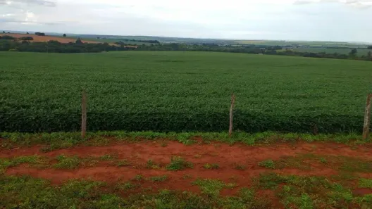Fazenda/Sítio com 5 Quartos à venda, 5808000m² no Setor Central, Rio Verde