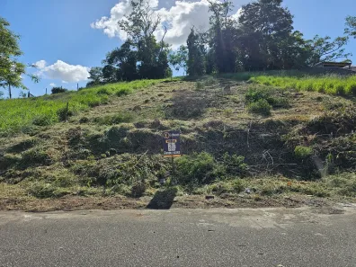 Lote/Terreno à venda, 360m² no Pedra Branca, Palhoça