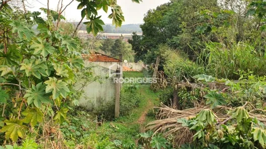 Lote/Terreno à venda, 352m² no Campestre, São Leopoldo