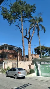 Lote/Terreno com 1 Quarto para alugar, 1000m² no Santa Etelvina, São Paulo