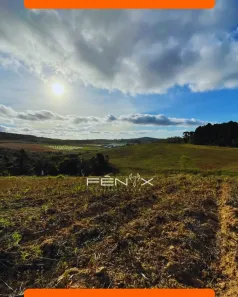 Lote/Terreno à venda, 500m² no Parque Caucaia (Caucaia do Alto), Cotia