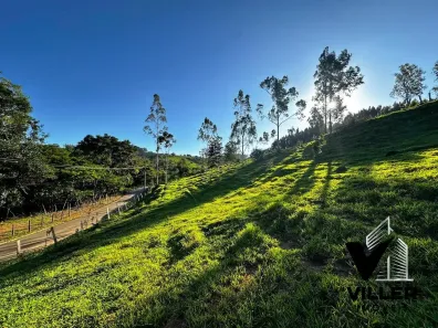 Lote/Terreno à venda, 14800m² no , Socorro