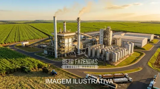 Fazenda/Sítio à venda, 145200000m² no Área Rural de São José do Rio Preto, São José do Rio Preto