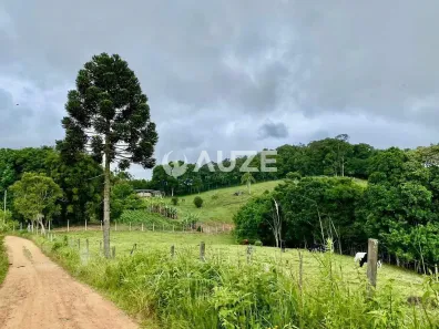 Fazenda/Sítio com 3 Quartos à venda, 74717m² no Areia Branca dos Assis, Mandirituba