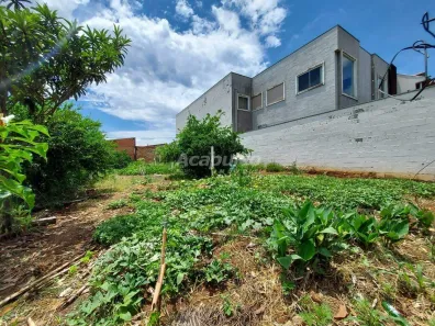 Lote/Terreno à venda, 333m² no Parque Residencial Jaguari, Americana