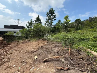 Lote/Terreno à venda, 1675m² no João Paulo, Florianópolis
