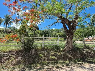 Casa com 3 Quartos à venda, 171m² no Salutaris, Paraíba do Sul