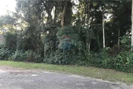Lote/Terreno à venda, 1200m² no Caraguatá, Mairiporã