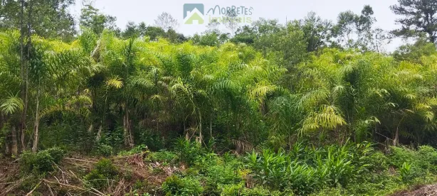 Lote/Terreno à venda, 98300m² no , Antonina