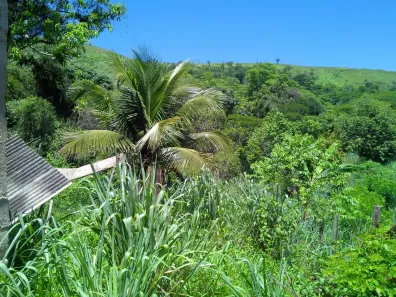 Fazenda/Sítio à venda, 800m² no Campo Grande, Rio de Janeiro