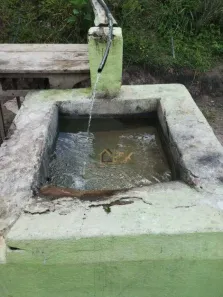 Fazenda/Sítio com 4 Quartos à venda, 180m² no Franceses, Carvalhos