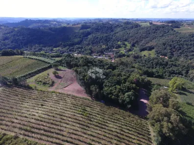Lote/Terreno à venda, 20000m² no Centro, Pinto Bandeira