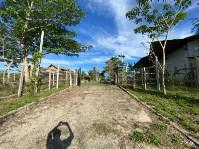 Fazenda/Sítio com 3 Quartos à venda, 250000m² no , Rio Preto da Eva