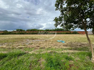 Lote/Terreno à venda, 366m² no Campestre, Piracicaba