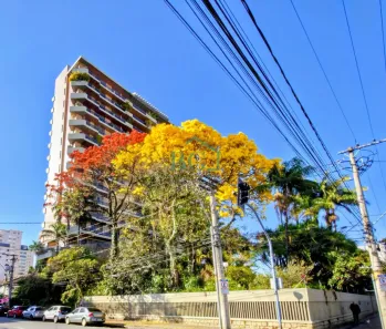 Apartamento com 4 Quartos à venda, 400m² no Centro, Poços de Caldas
