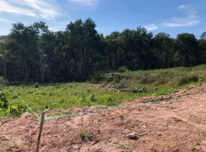 Lote/Terreno à venda, 1036m² no Ouro Fino, Santa Isabel