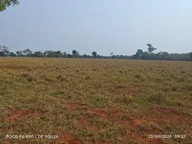 Fazenda/Sítio à venda, 13050000m² no , Dois Irmãos do Buriti
