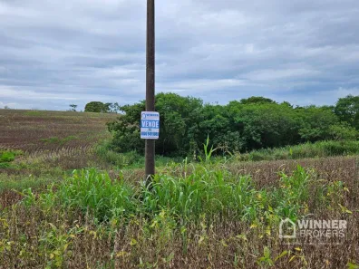 Fazenda/Sítio com 1 Quarto à venda, 193600m² no Área Rural, Floresta