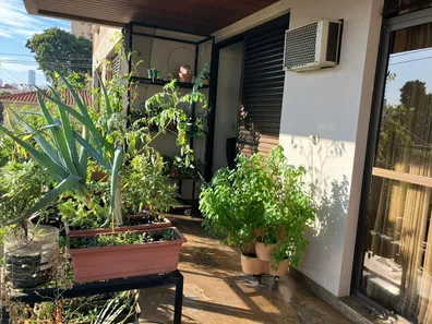 Apartamento com 3 Quartos à venda, 250m² no Centro, Piracicaba