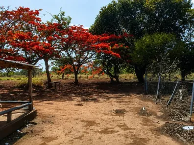Fazenda/Sítio com 2 Quartos à venda, 24000m² no , Brasília
