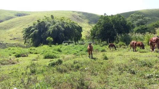 Fazenda/Sítio com 4 Quartos à venda, 12000m² no Área Rural de Lorena, Lorena
