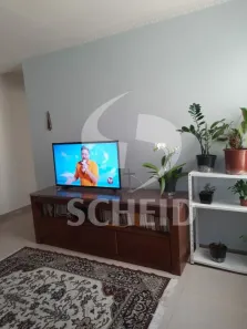 Apartamento com 3 Quartos à venda, 58m² no Parque das Árvores, São Paulo