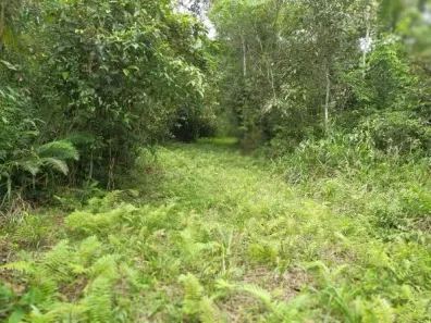 Lote/Terreno à venda, 403489m² no Centro, Morretes