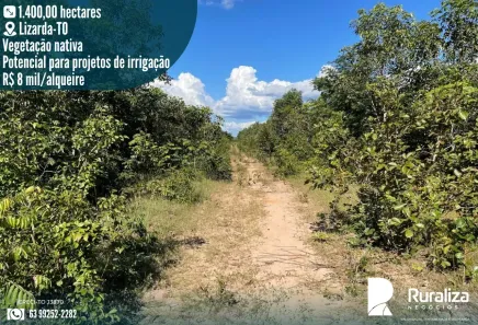 Fazenda/Sítio à venda, 1400m² no , Lizarda