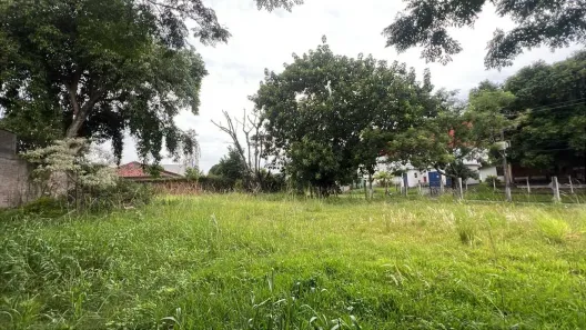 Lote/Terreno para alugar, 850m² no Rio Branco, São Leopoldo