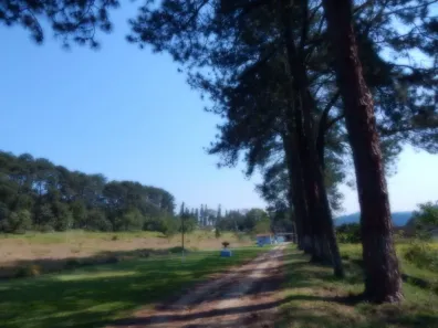 Lote/Terreno à venda, 31500m² no Dos Finco, São Bernardo do Campo