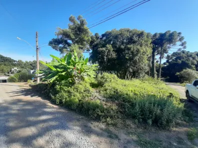 Lote/Terreno à venda, 696m² no Ana Rech, Caxias do Sul