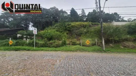 Lote/Terreno à venda, 716m² no Ponta Aguda, Blumenau