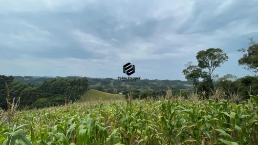 Fazenda/Sítio à venda, 7712m² no Bairro Vila Ferraria, Santa Maria do Herval