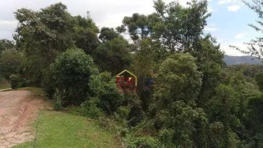 Lote/Terreno à venda, 1166m² no Parque Pedra do Baú, Campos do Jordão