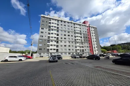 Apartamento com 2 Quartos à venda, 45m² no Aristocrata, São José dos Pinhais