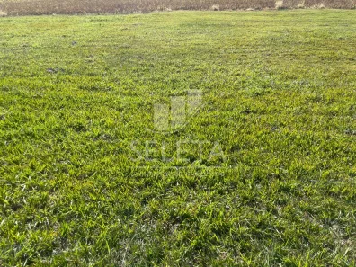 Lote/Terreno à venda, 406m² no Recanto Tropical, Cascavel