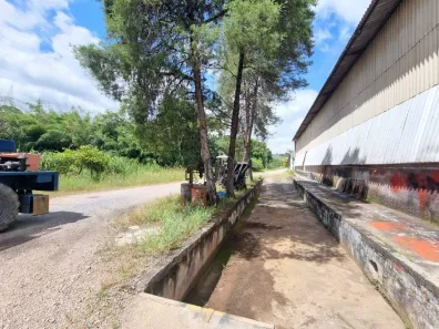 Galpão/Depósito/Armazém à venda, 3100m² no Estiva, Louveira