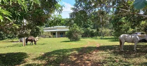 Fazenda/Sítio com 3 Quartos à venda, 1m² no Área Rural de Porto Velho, Porto Velho