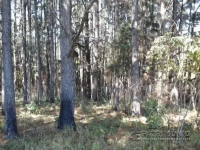 à venda, 365500m² no , Araçoiaba da Serra
