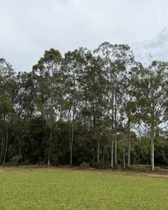 Lote/Terreno à venda, 600m² no Thermas de Santa Bárbara, Águas de Santa Bárbara