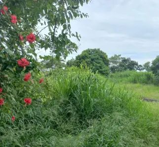 Ponto Comercial à venda, 3600m² no São João, Jacareí