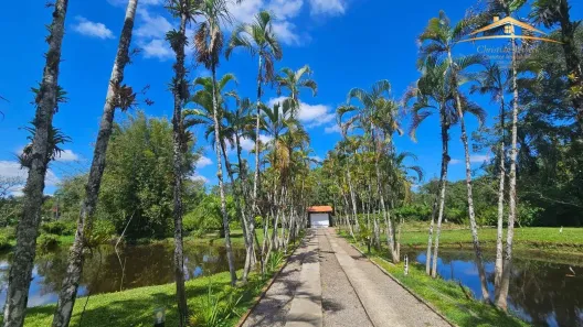 Fazenda/Sítio com 8 Quartos à venda, 330m² no , Morretes