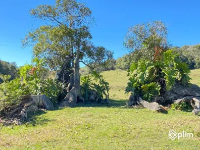 Fazenda/Sítio com 3 Quartos à venda, 62000m² no , Bom Retiro