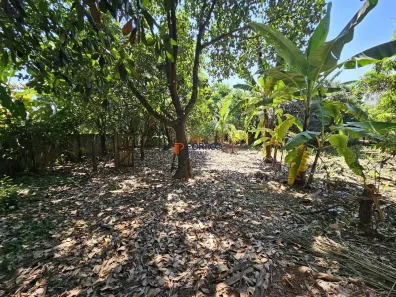 Fazenda/Sítio com 2 Quartos à venda, 126m² no Nova Veneza, Paulínia