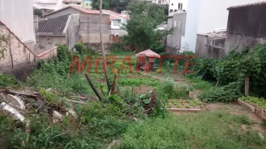 Lote/Terreno à venda, 484m² no Vila Rosa, São Paulo