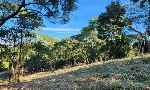 Lote/Terreno com 1 Quarto à venda, 5336m² no Residencial Aldeia do Vale, Goiânia